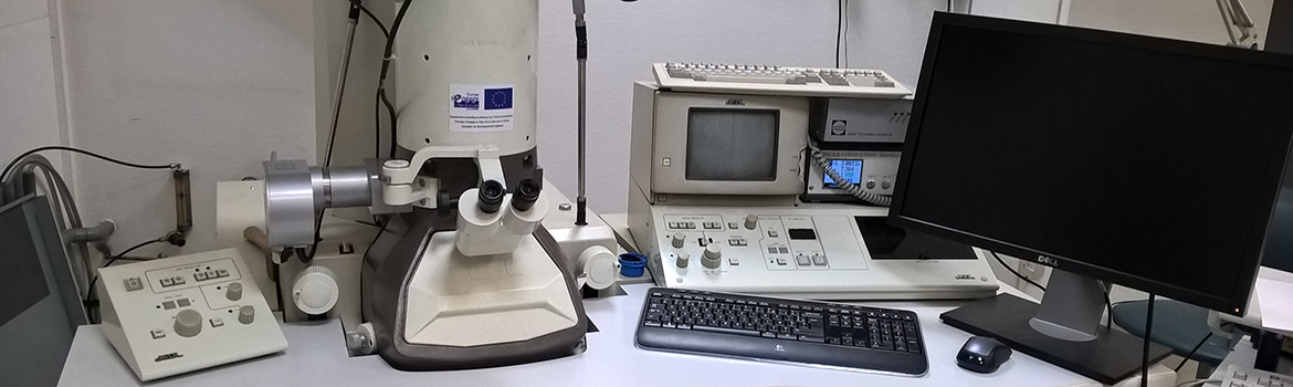 Schéma d'un microscope électronique à balayage. Le faisceau d